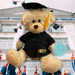 Graduation bears